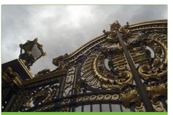 Ornamental steel gate